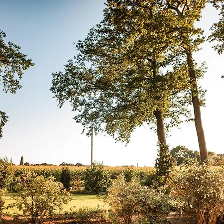 Bed & Breakfast Gaestehaus Meiwes Delbruck