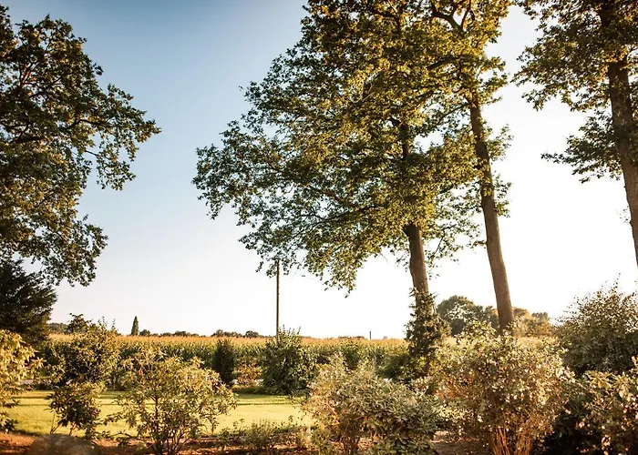 Bed & Breakfast Gaestehaus Meiwes Delbrück